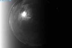VICQUES_20191215T045750_UT-new
