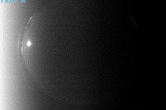 VICQUES_20210423T014311_UT-new