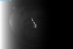 VICQUES_20210901T031258_UT-new
