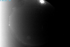 VICQUES_20260728T223036_UT